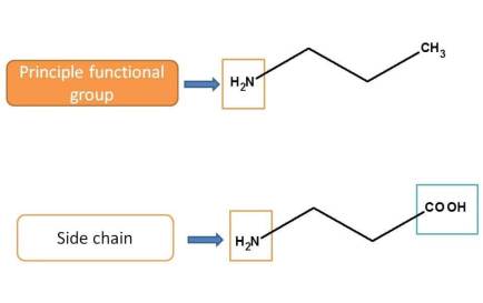 Role of amine group according to functional group priority table