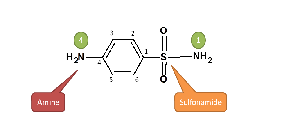 Principal functional group in sulfanilamide