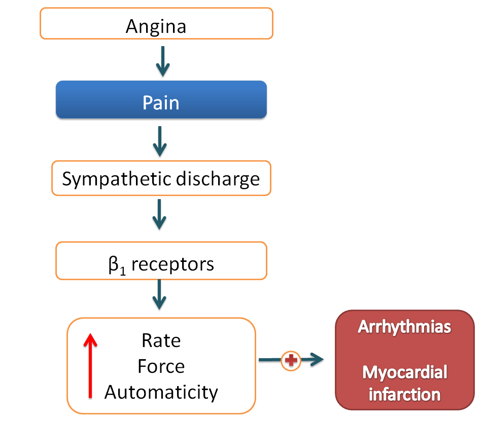 role of sympathetic system in angina