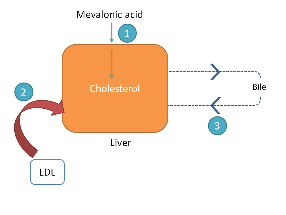 Three important drug targets to decrease in cholesterol levels in the body