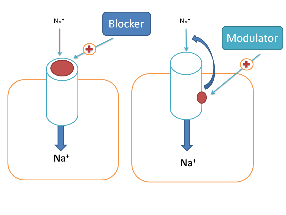 difference between blocker and modulator