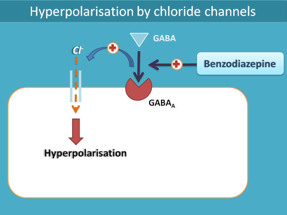 hyperpolarisation by chloride channels