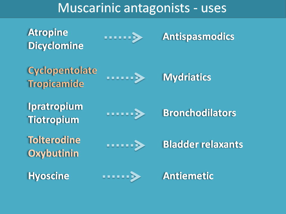 muscarinic antagonists and uses