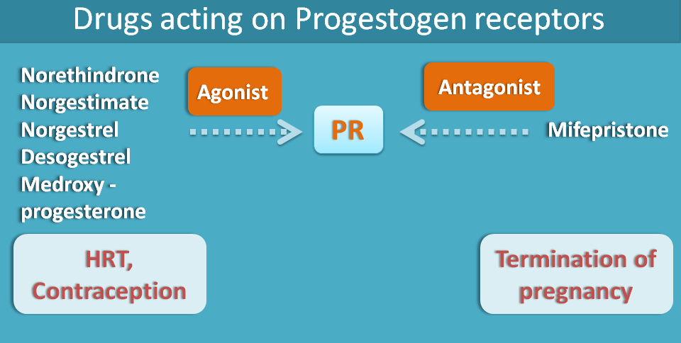 drugs acting on progestin receptors