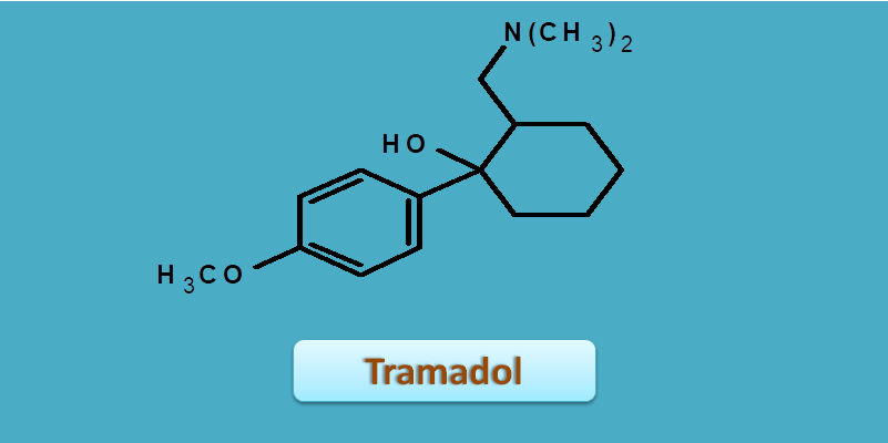 Structure of tramadol