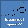 Does tramadol act as an opioid?