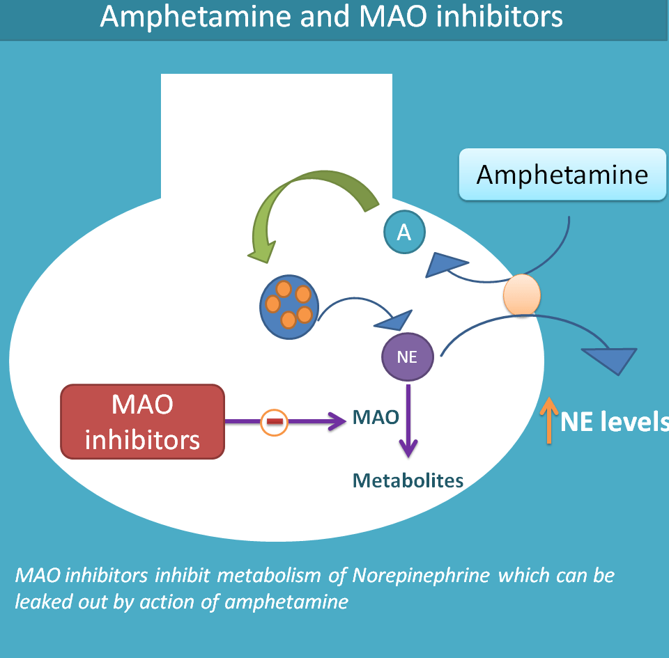 interaction of amphetamine with MAO inhibitors