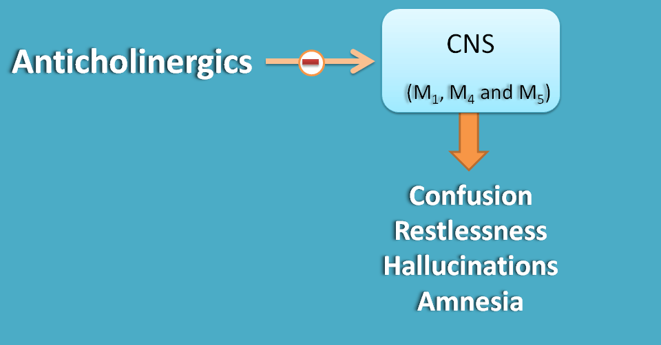 action of anticholinergics on cns