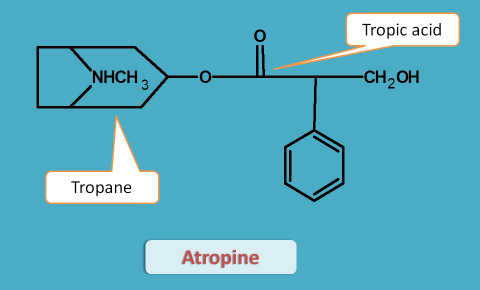 structure of atropine