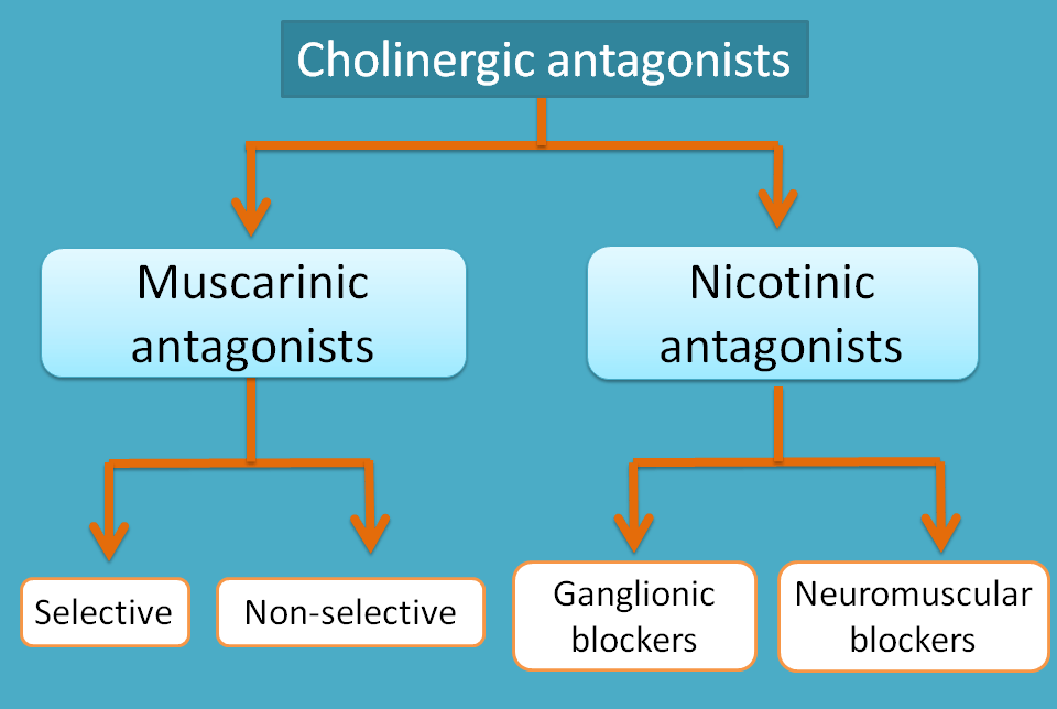 classification of cholinergic antagonists