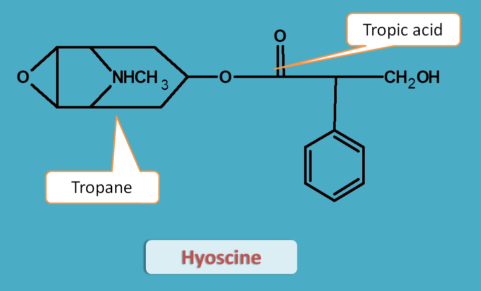 structure of hyoscine