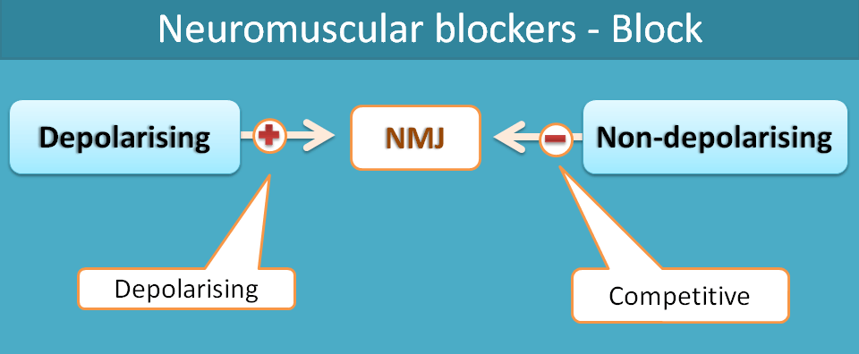 Type of block of neuromuscular blockers