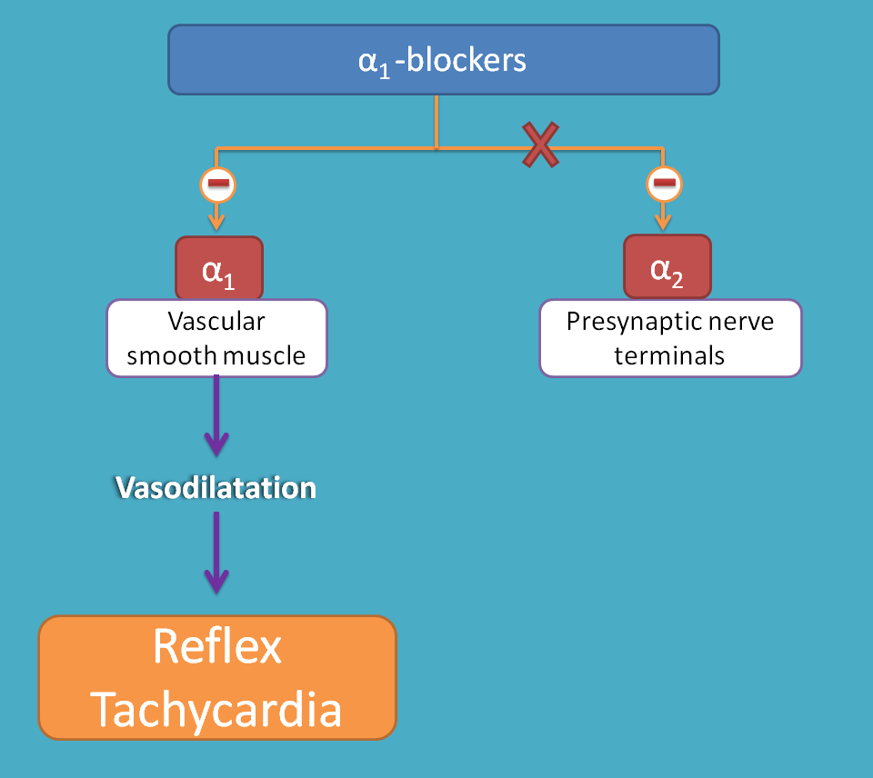 what beta blockers are used for hypertension