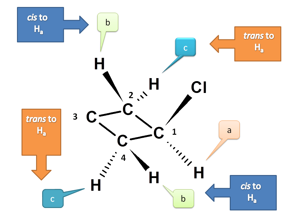 Protons at C2 of cholrocyclobutane