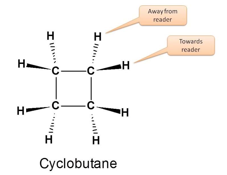 Solid wedge - dashed line projection of cyclobutane