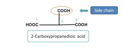 Carboxylic acid can act as side chain 