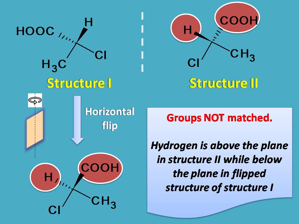 structure on flip