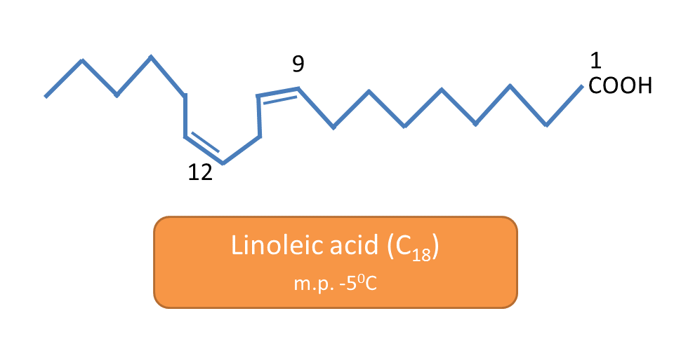 linoleic acid and its melting point