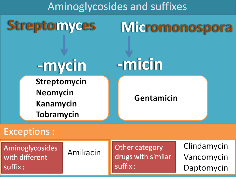 Suffixes of aminoglycosides