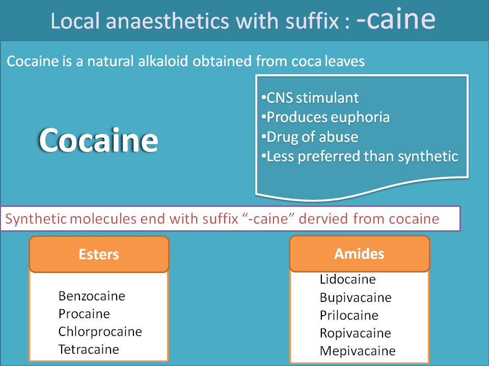 Suffixes of local anaesthetics