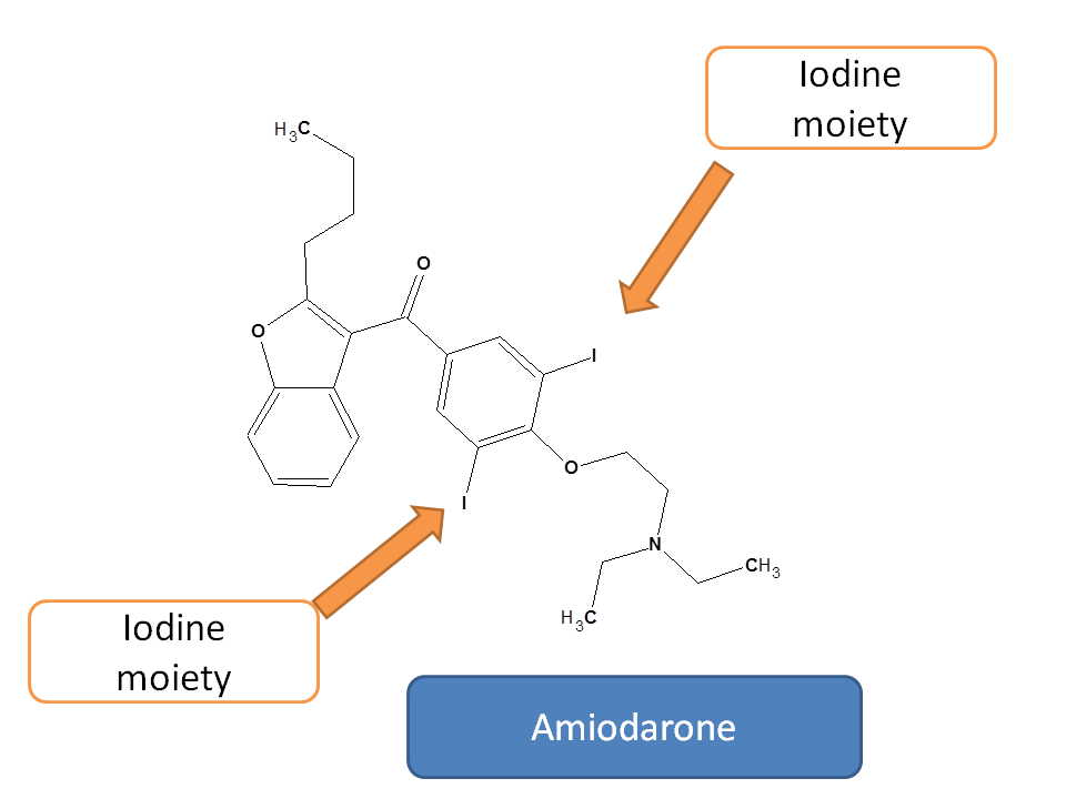 Iodine in the structure of amiodarone responsible for thyroid problems