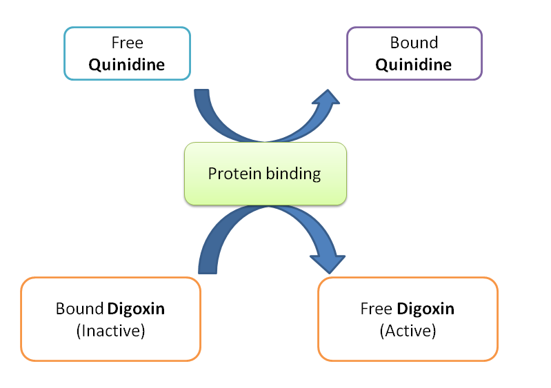 Displacement of digoxin from protein binding sites by quinidine