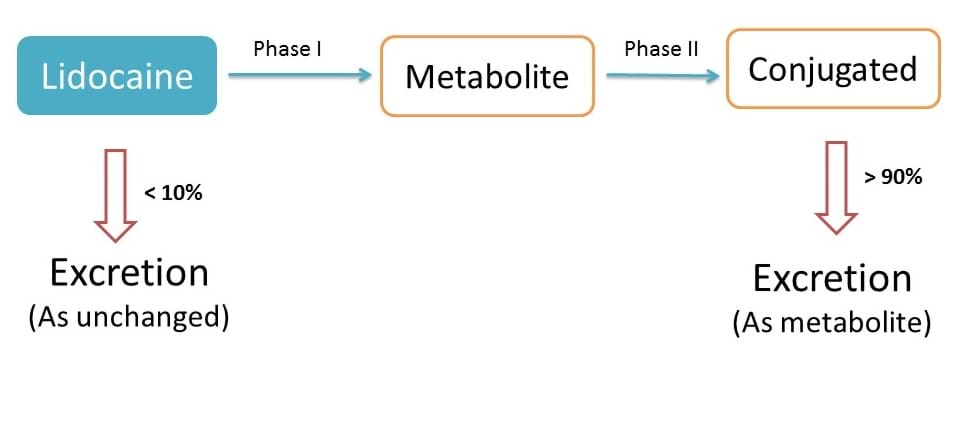 high hepatic metabolism of lidocaine 