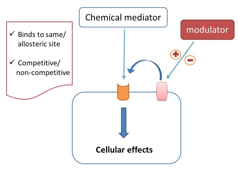 action of modulator on receptor