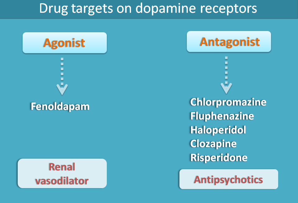 How Do Dopamine Antagonists Work