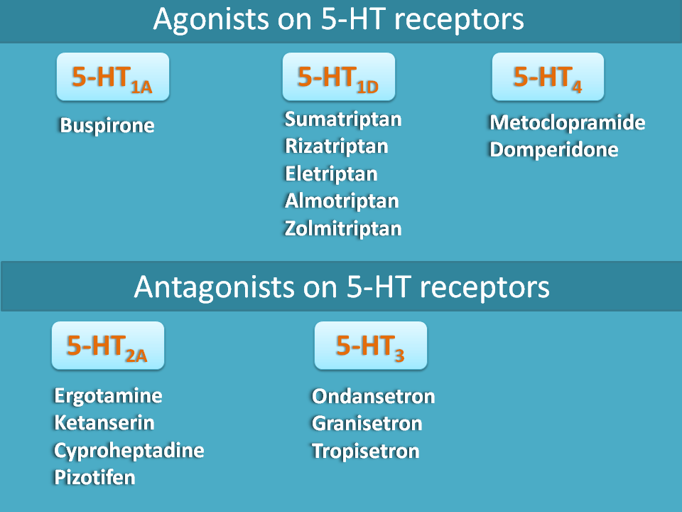 drug targets on serotonin receptors