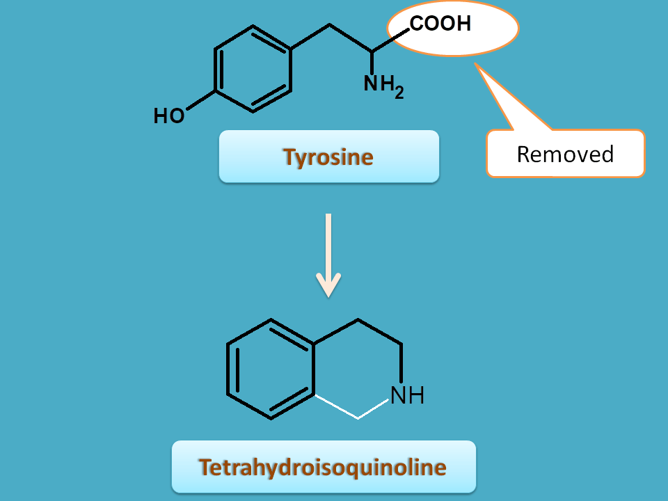 conversion of tyrosine to tetrahydroisoquinoline