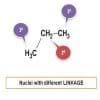 What is chemical equivalence and magnetical equivalence in NMR?