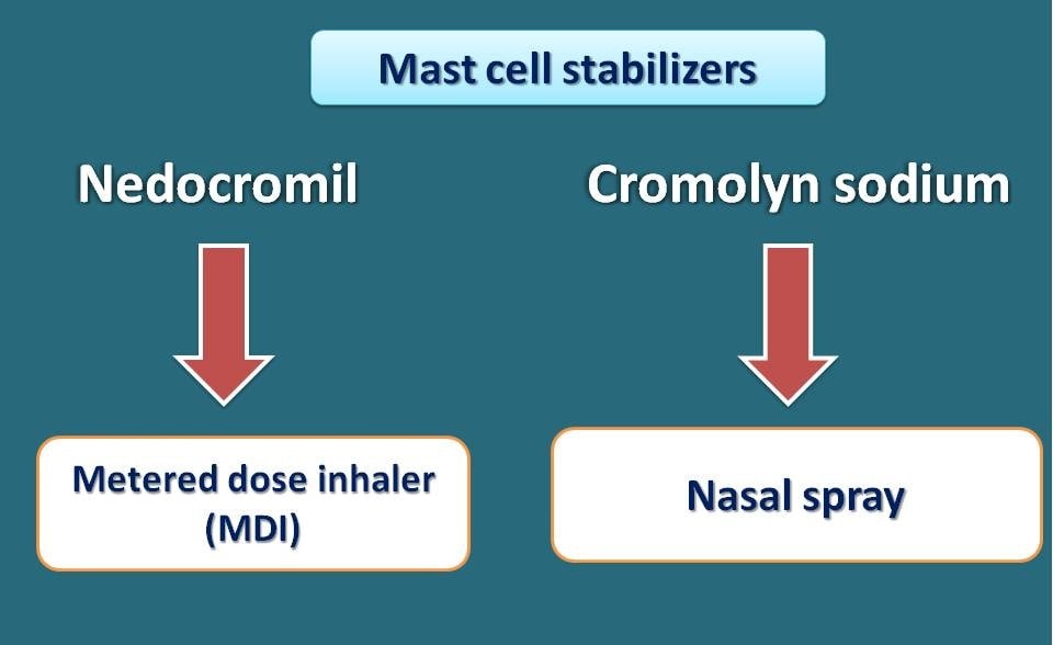 mast cell stabilisers