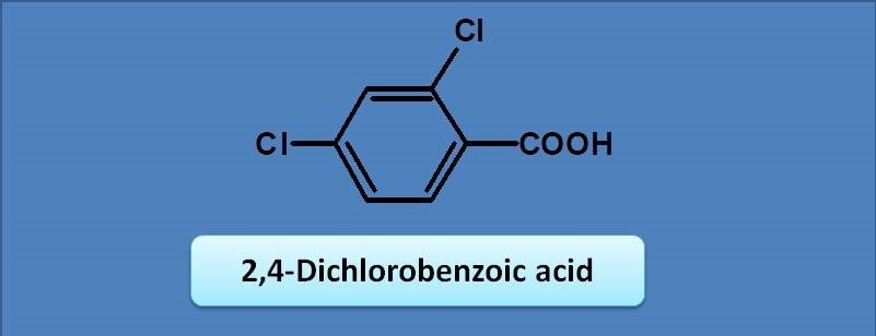 2,4-dichlorobenzoic acid