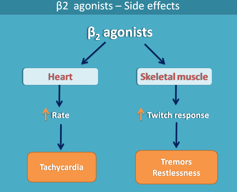 side effects of beta2 agonists