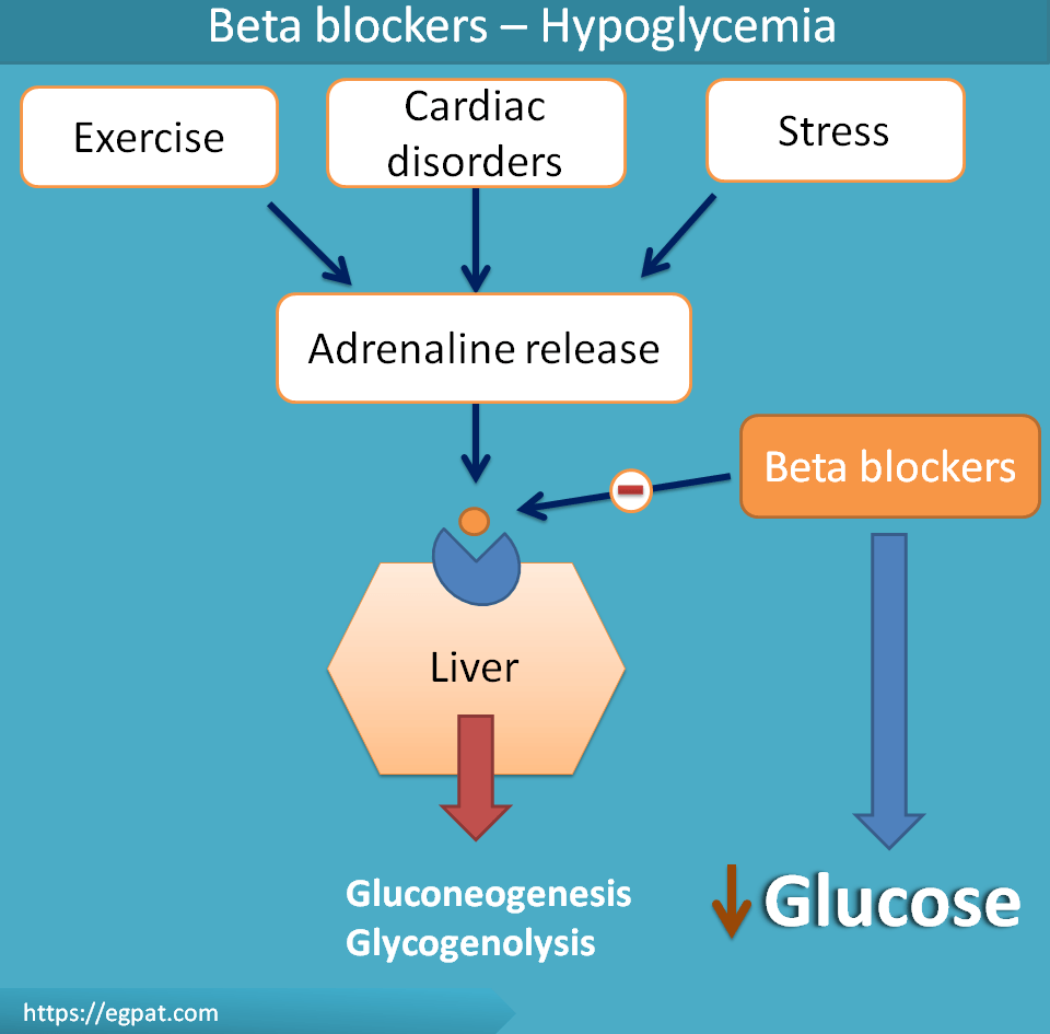 beta blockers cause hypoglycemia)