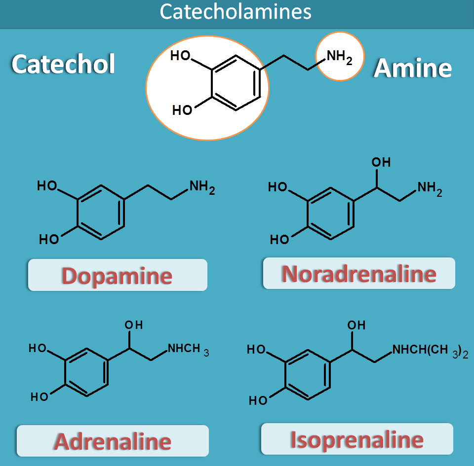 catechol amines