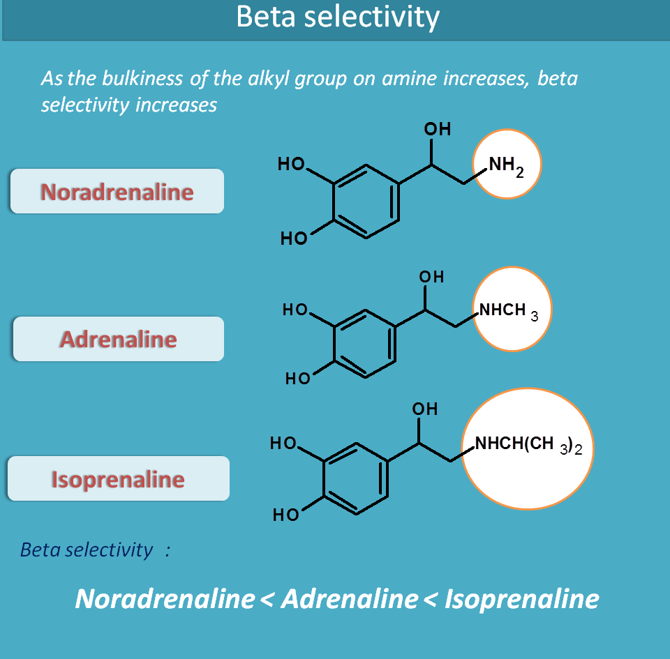 beta selectivity by bulky group on nitrogen
